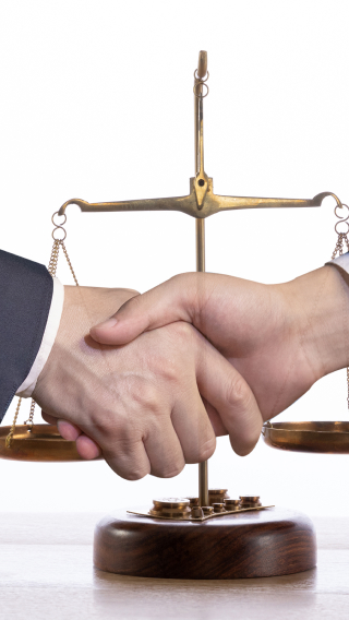 Responsible for paying close attention to the latest development of laws, regulations and supervisory rules and providing compliance advice in light of their impact on the Company's operations; responsible for formulating the Company's antitrust compliance system and supervising the implementation of the system by all relevant business departments/personnel to ensure that antitrust compliance requirements are integrated into relevant business areas;