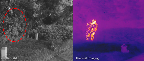 Collegamento termica-PTZ